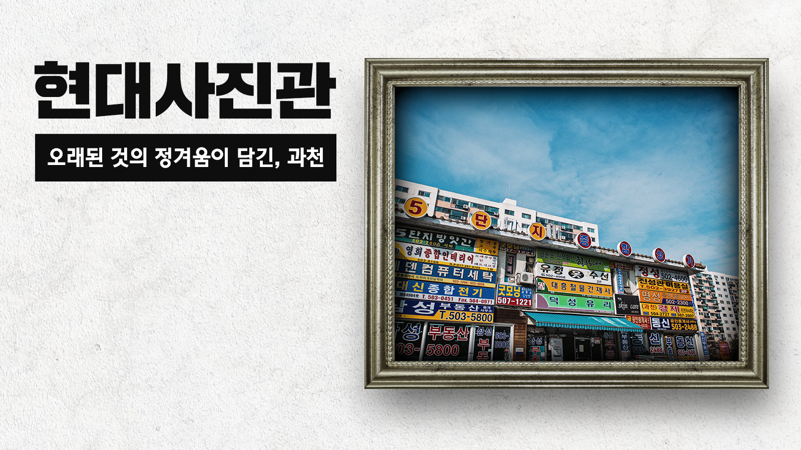 [현대사진관] 오래된 것의 정겨움이 담긴, 과천