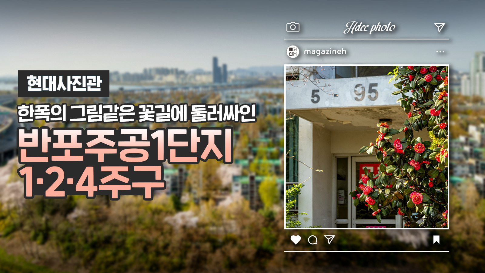 [현대사진관] 한 폭의 그림 같은 꽃길에 둘러싸인 ‘반포주공1단지 1·2·4 주구’
